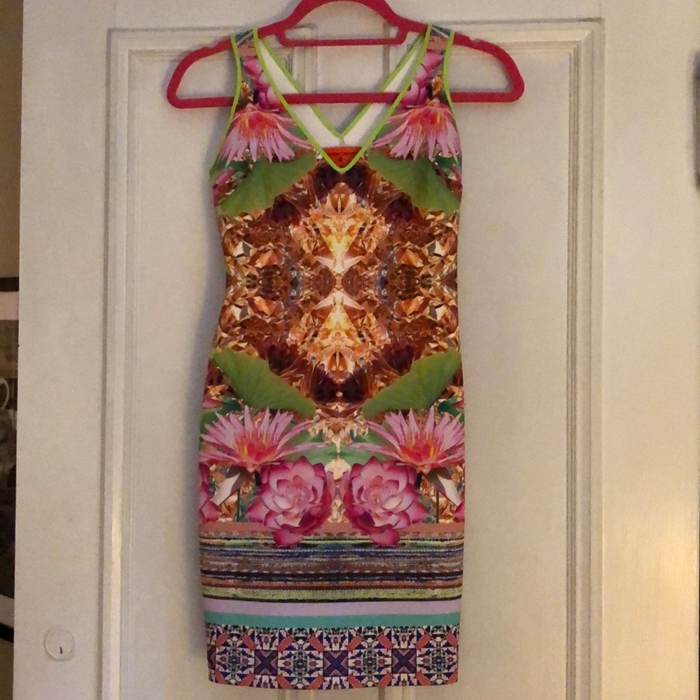 Clover canyon mini dress